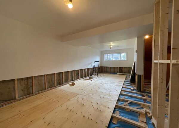 Basement-Renovation-001