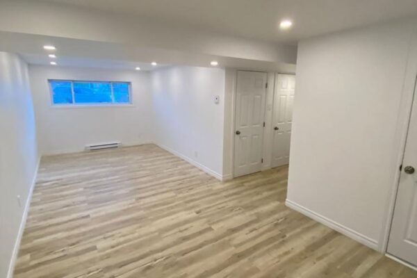 Basement Renovation – BR 002