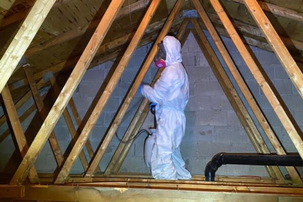 Mold Remediation – MR 001