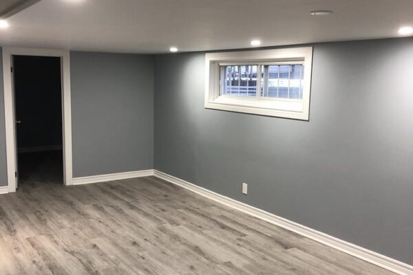 Basement Renovation – BR 003