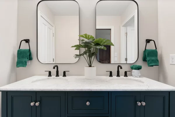 Bathroom Renovation – BR 007