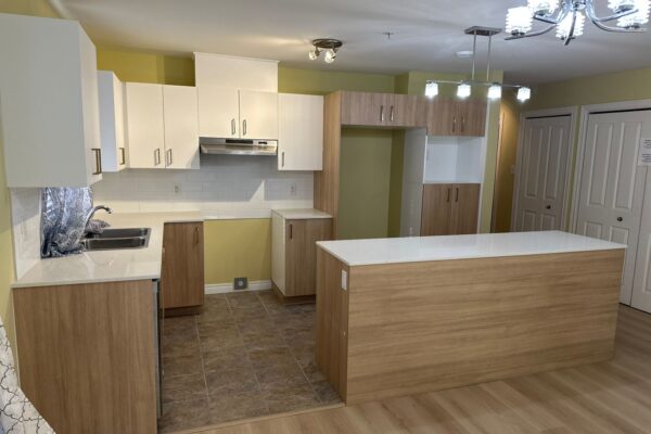 Kitchen renovation – KR 006